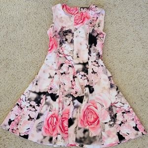 Calvin Klein Fit & Flare Rose Dress